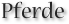 Pferde